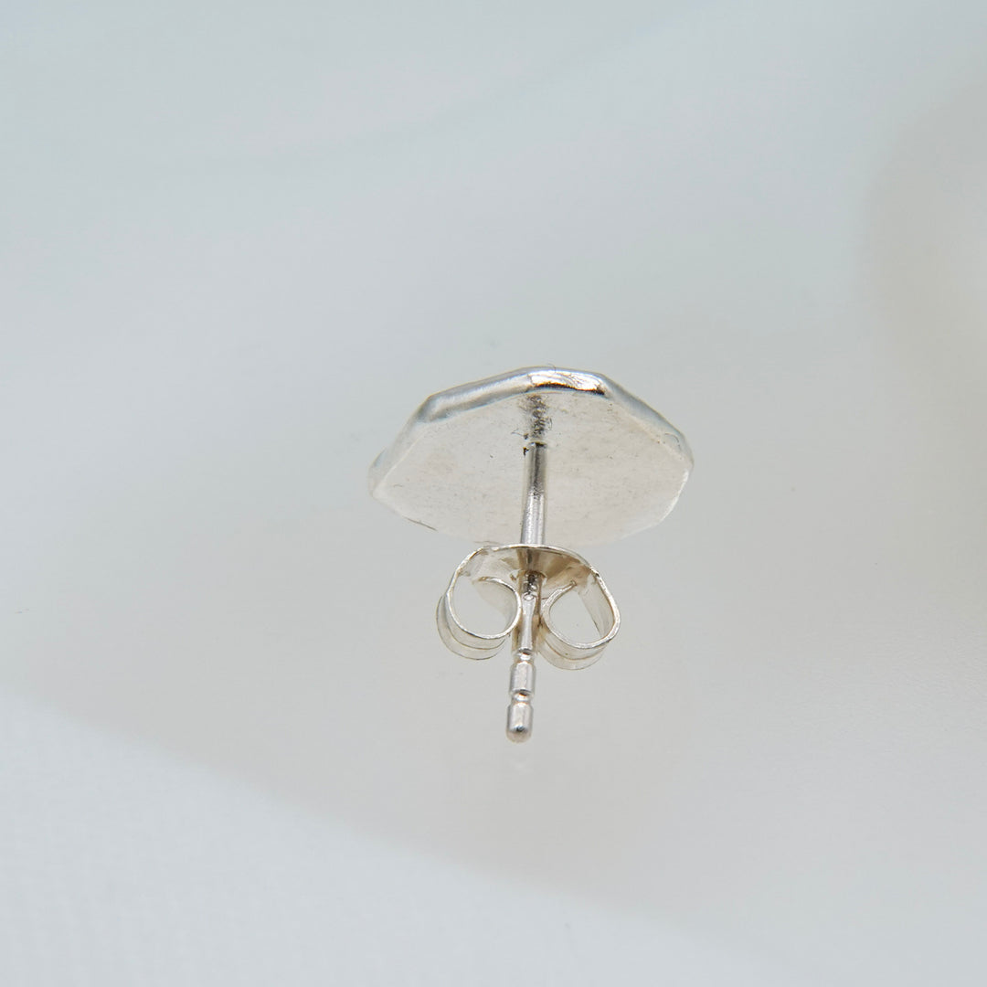 ラッキーチャームピアス(Silver)_コイン