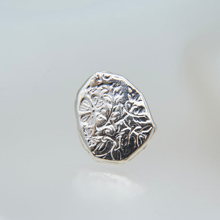 ラッキーチャームピアス(Silver)_コイン