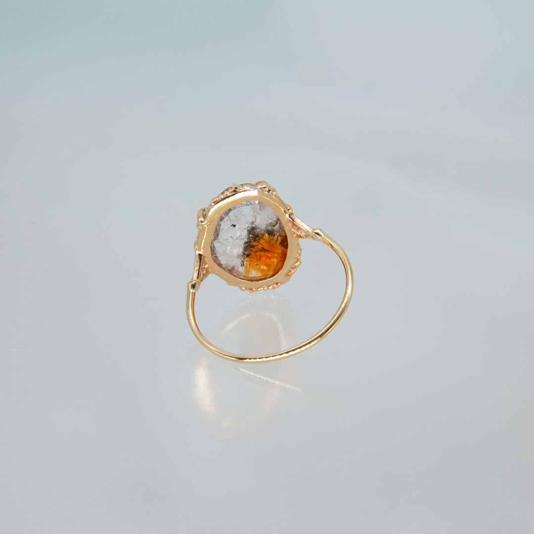 2123_Bicolor Citrine