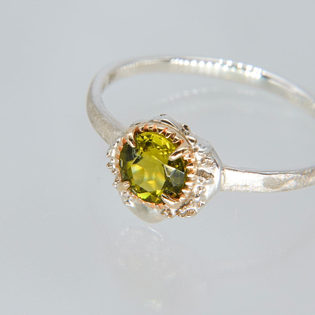 2345_Peridot