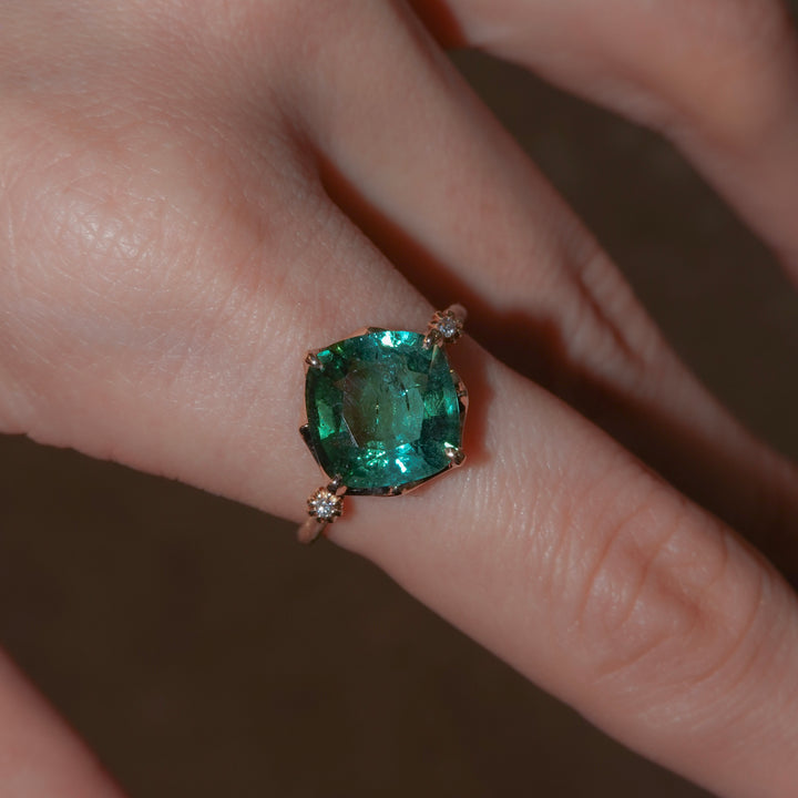 1876_Bicolor Tourmaline