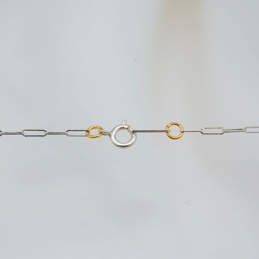 Particulas line 2way Neckless