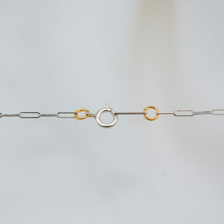Particulas line 2way Neckless