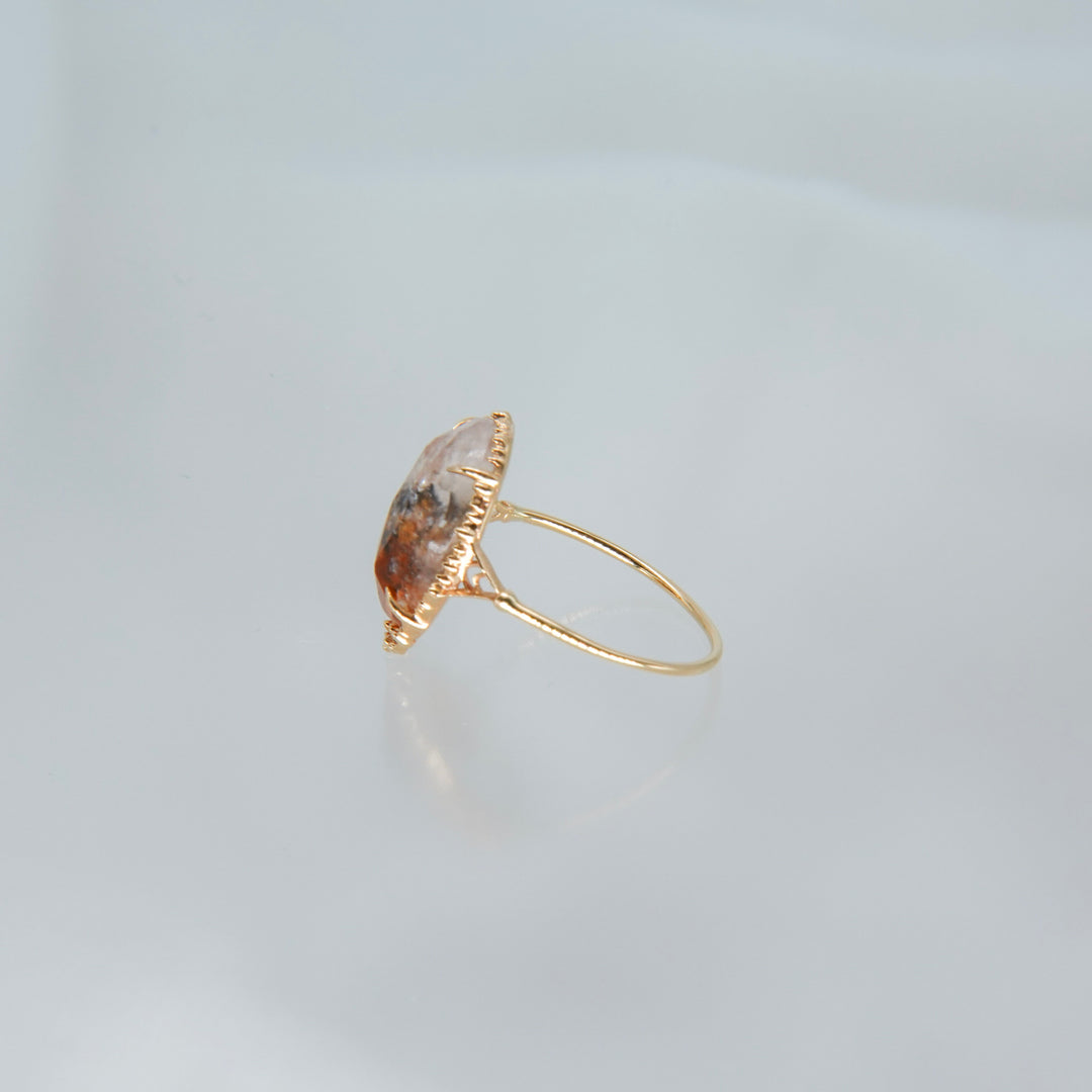 2123_Bicolor Citrine