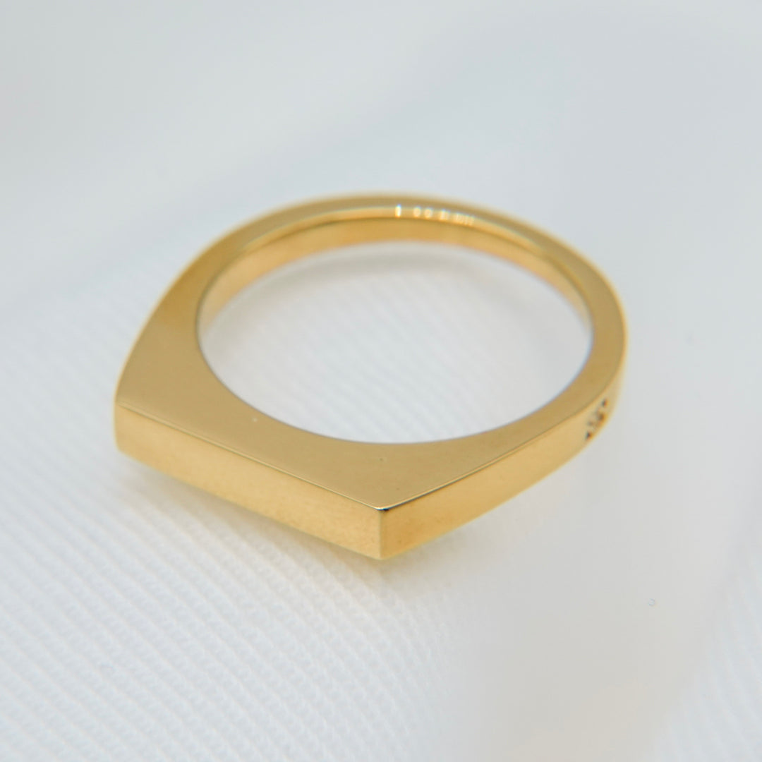 "Proto" signet  thin ring (GOLD)