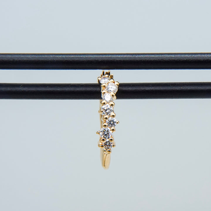 1982_mimosa hoop earrings II