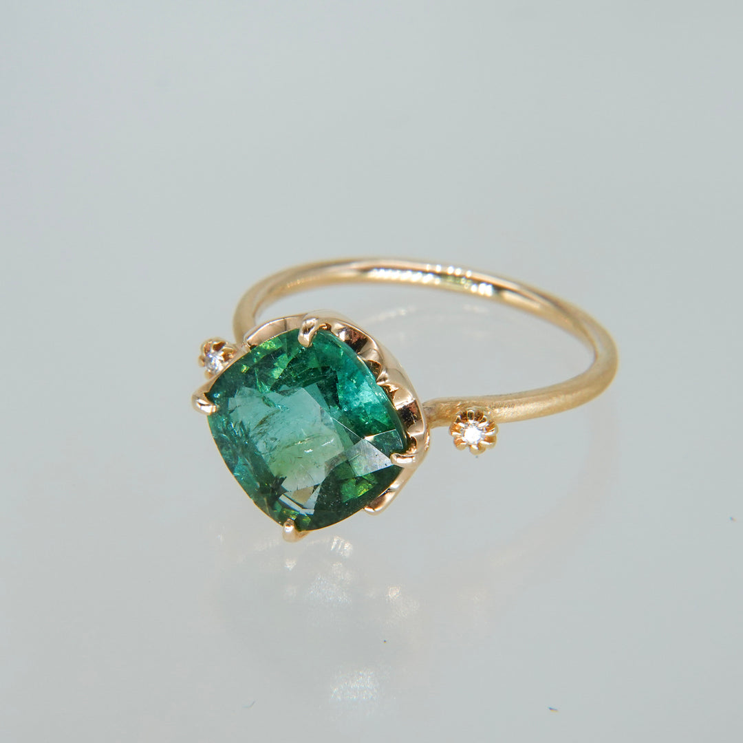 1876_Bicolor Tourmaline