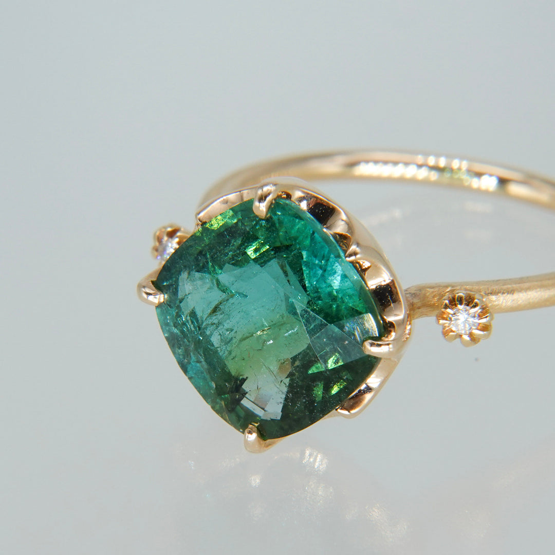 1876_Bicolor Tourmaline