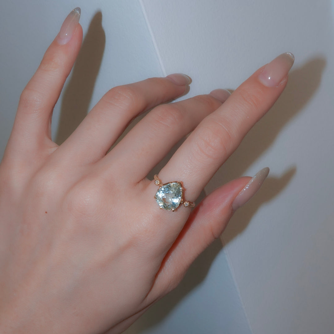 1911_Limonite in Topaz