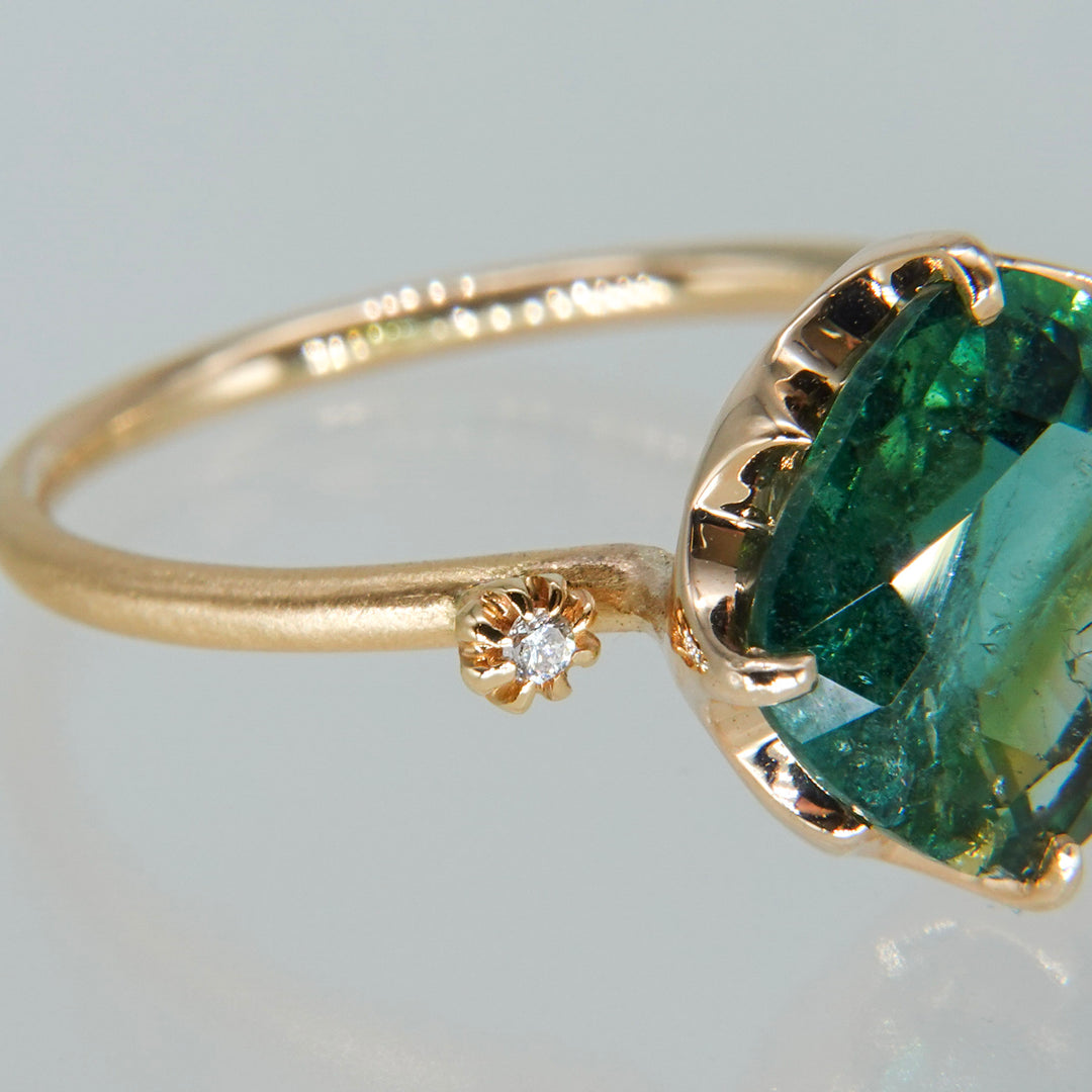 1876_Bicolor Tourmaline