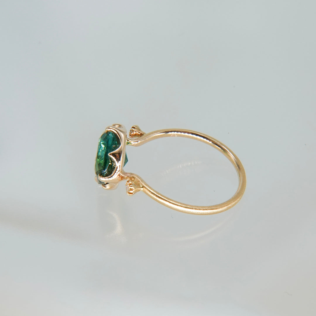 1876_Bicolor Tourmaline