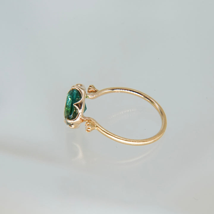 1876_Bicolor Tourmaline