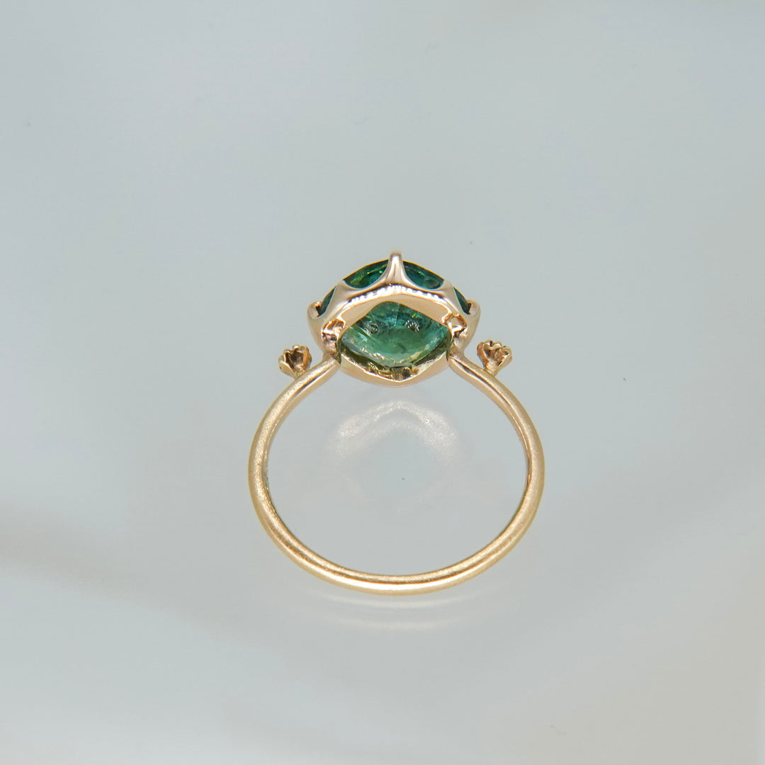 1876_Bicolor Tourmaline