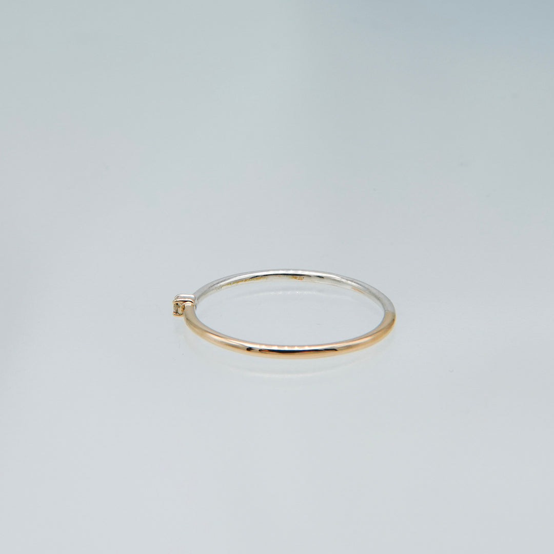 BICOLOR RING BR-05