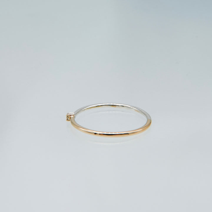 BICOLOR RING BR-05