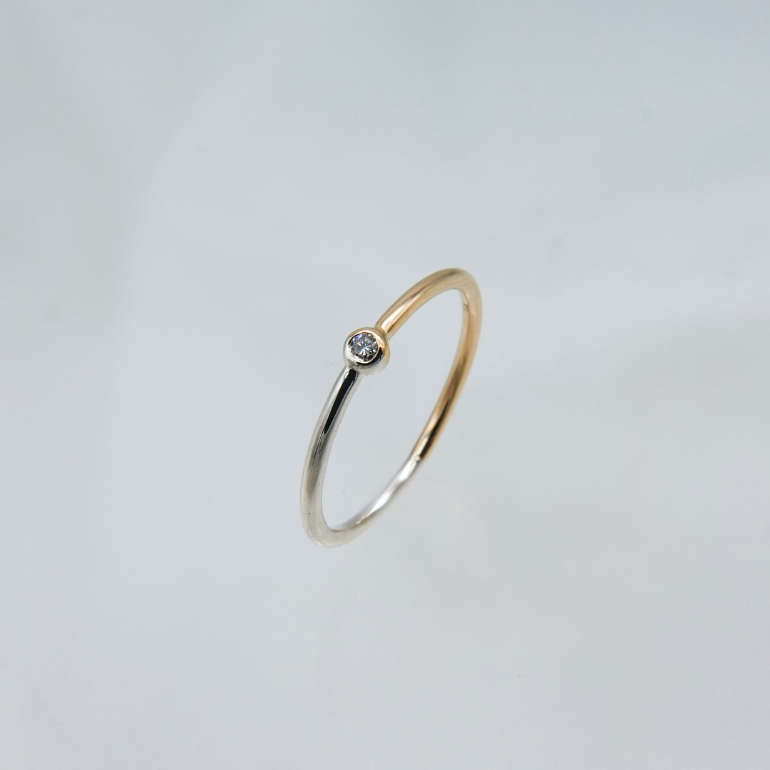 BICOLOR RING BR-10