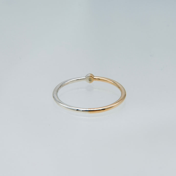 BICOLOR RING BR-10