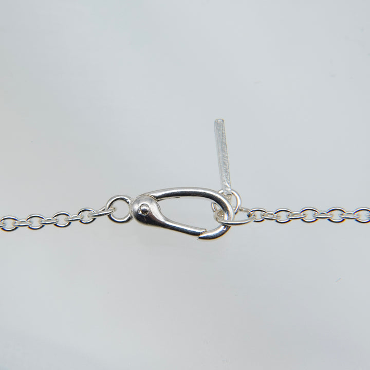 PLATE PENDANT NECKLACE SILVER MOISSANITE