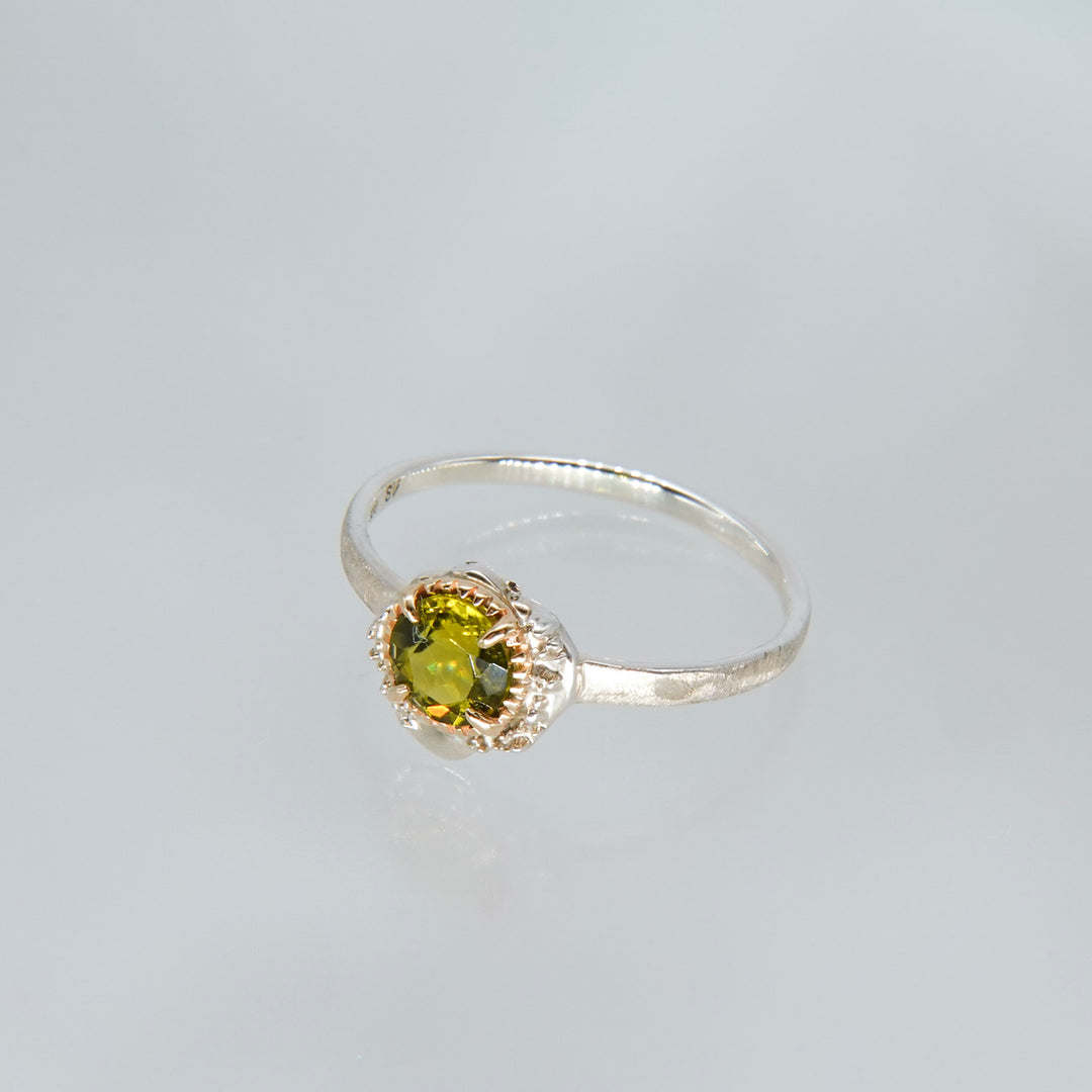 2345_Peridot