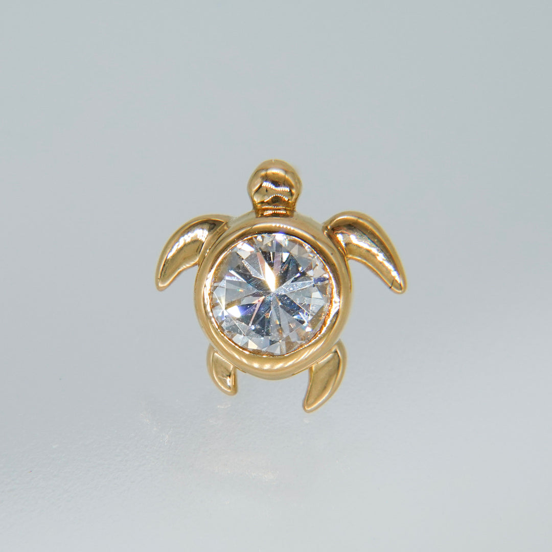 Dear Little Creatures Turtle Pierced Earring
