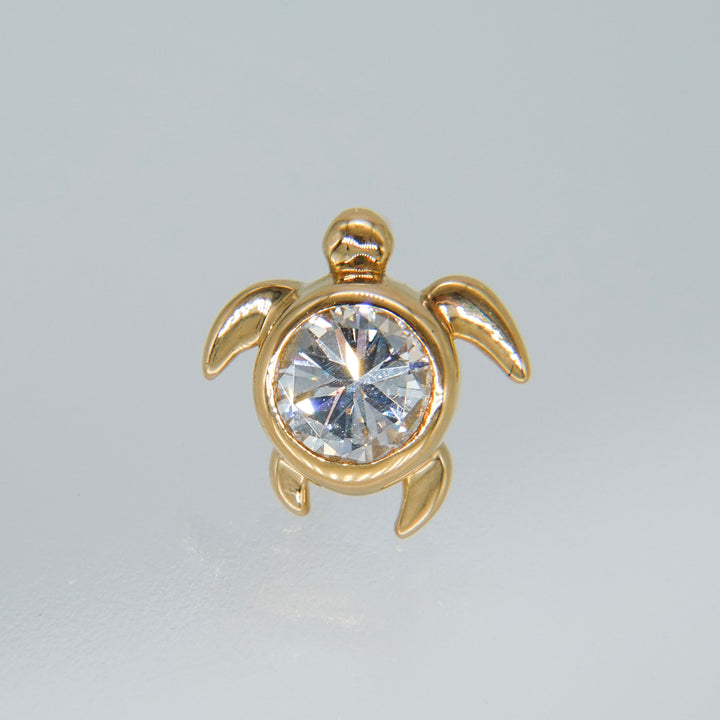 Dear Little Creatures Turtle Pierced Earring