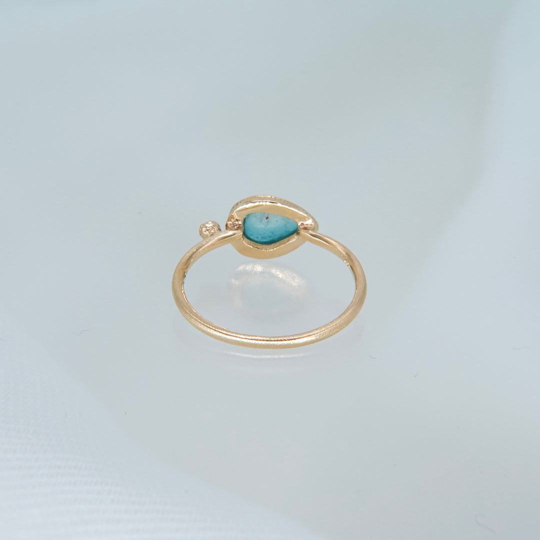 2011_Bicolor Tourmaline