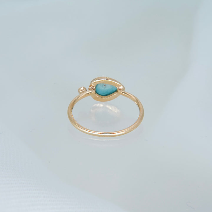 2011_Bicolor Tourmaline