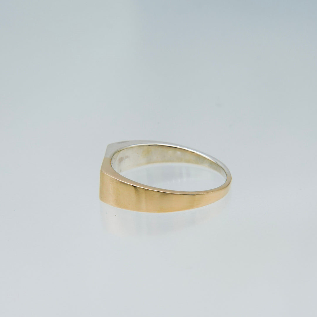 BICOLOR RING BR-03