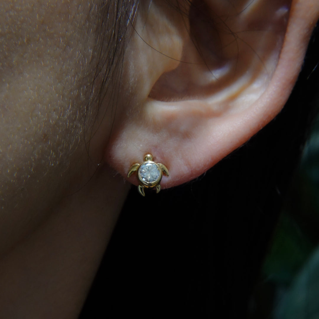 Dear Little Creatures Turtle Pierced Earring