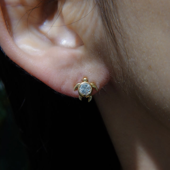 Dear Little Creatures Turtle Pierced Earring