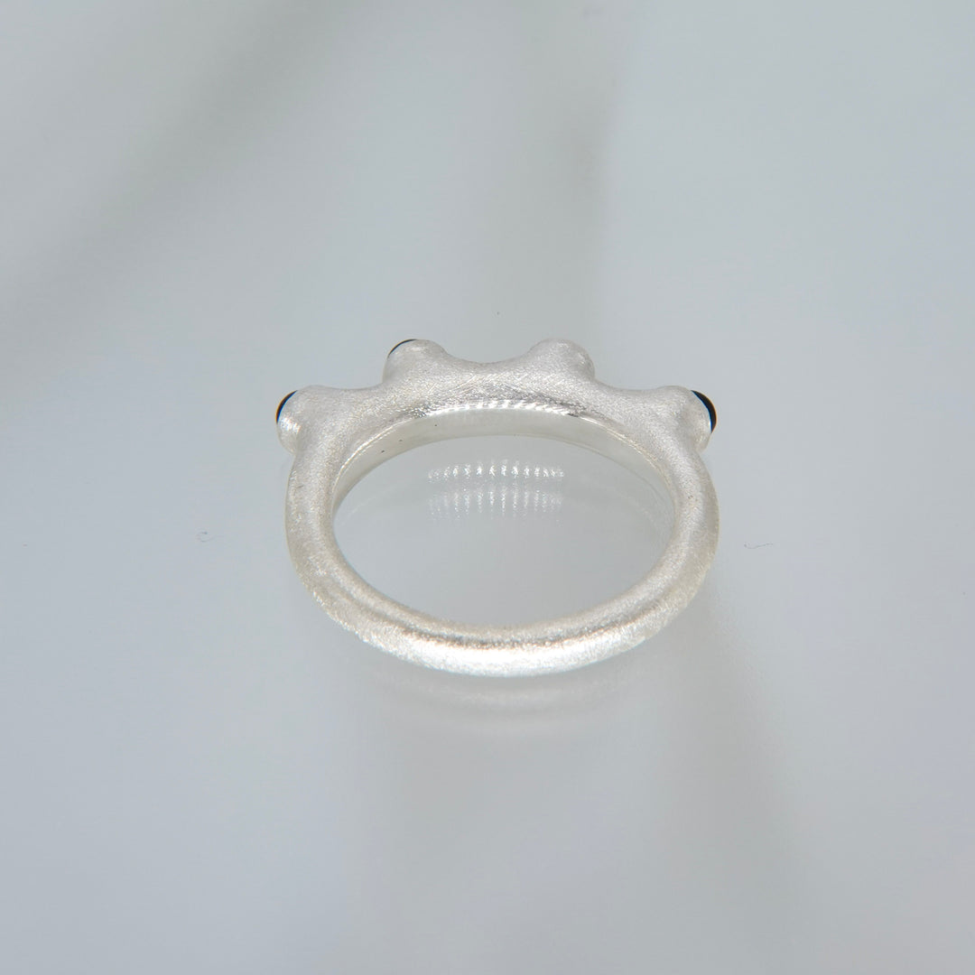 8 PLANETS Ring1 (BLACK)