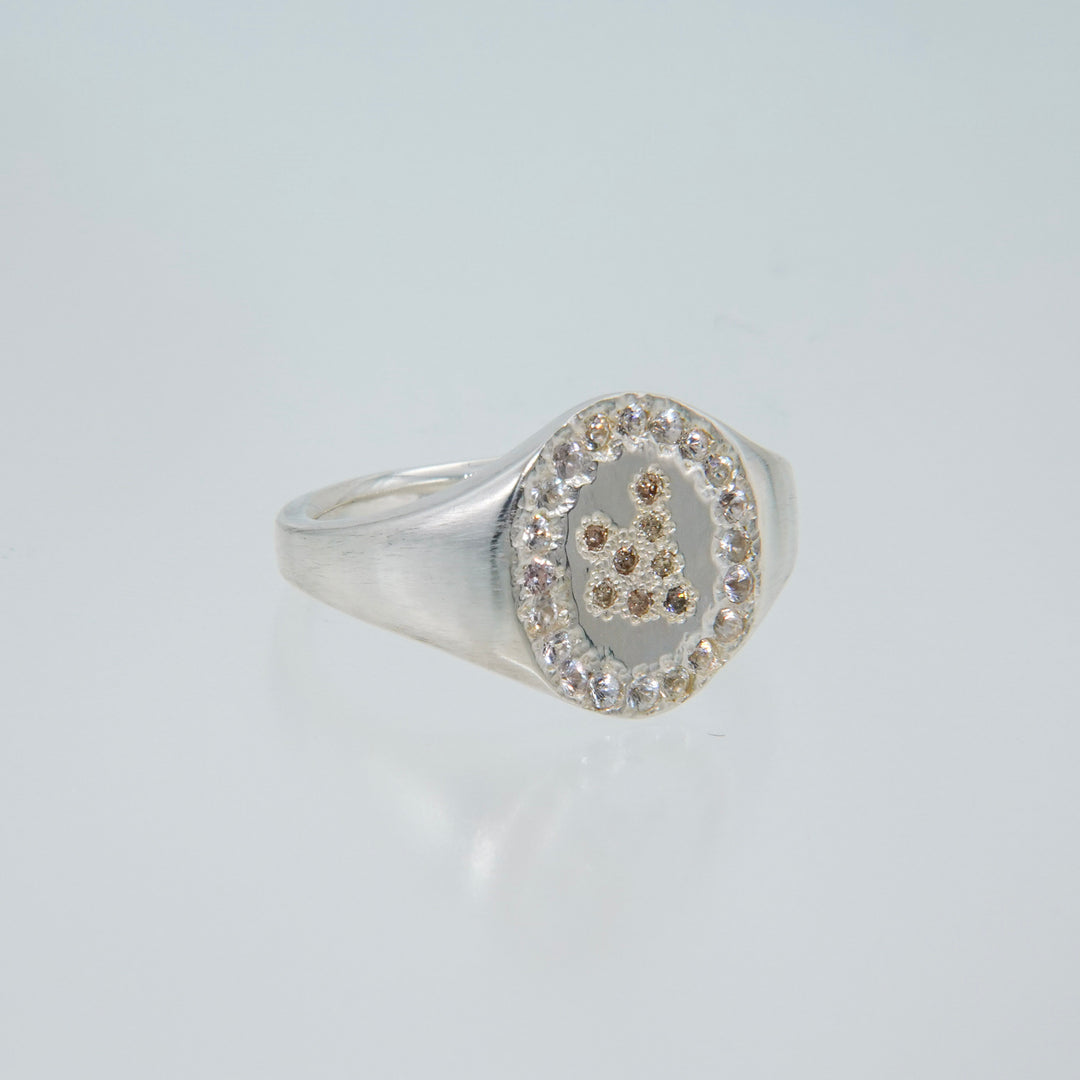 Tatsu Ring (Brown)