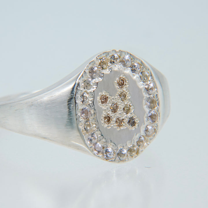 Tatsu Ring (Brown)