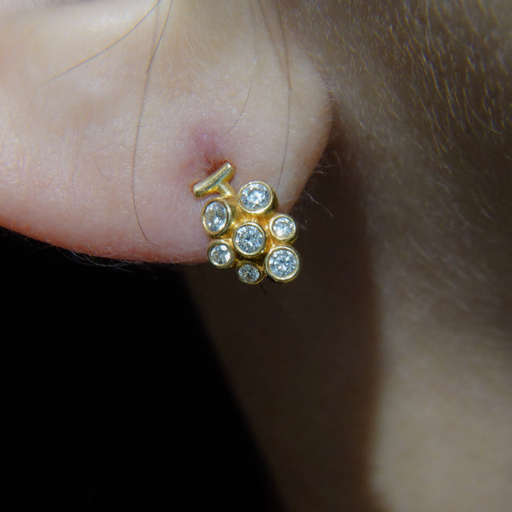 Dear Little Creatures Grapes Pierced Earring