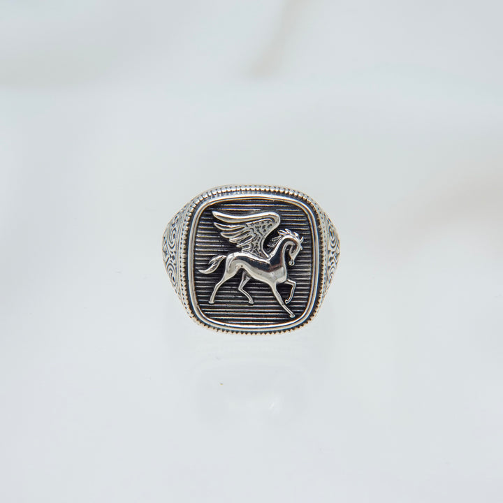 Pegasus Ring in Sterling Silver_20560