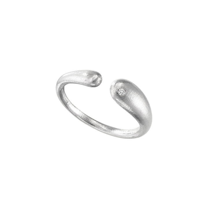 conscious to body-ring3