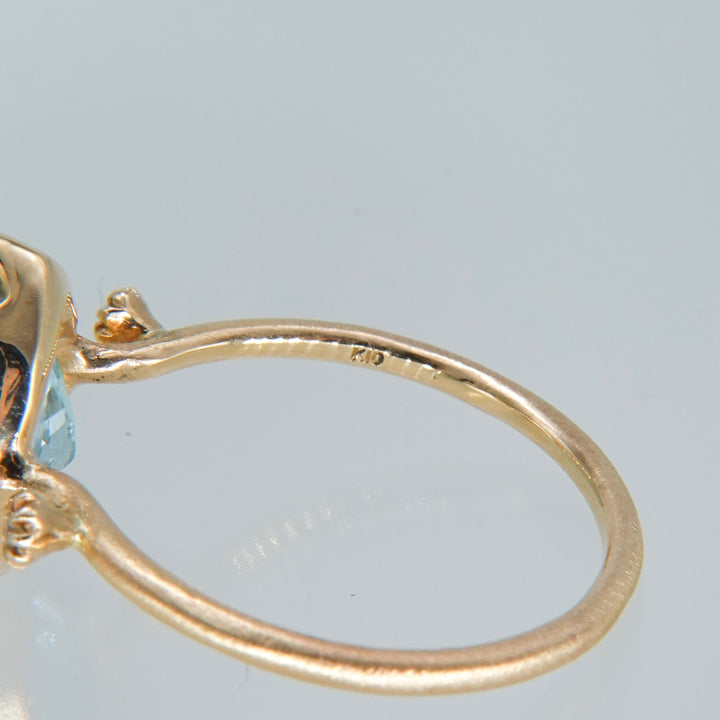 1911_Limonite in Topaz