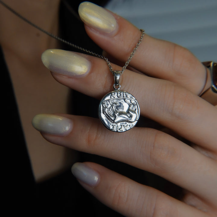 Silver Coin necklace