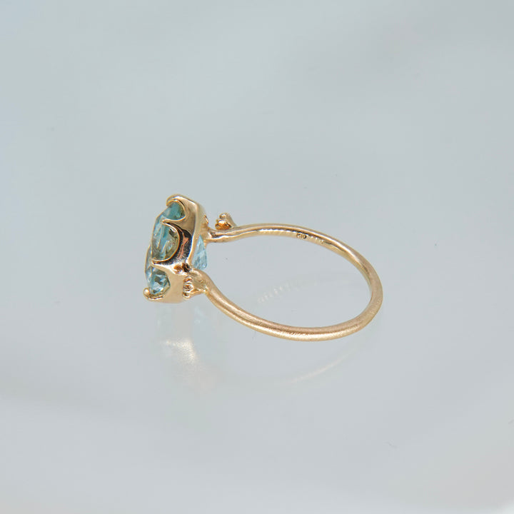 1911_Limonite in Topaz