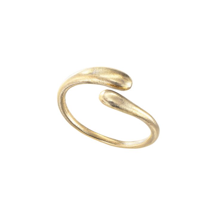 conscious to body-ring2