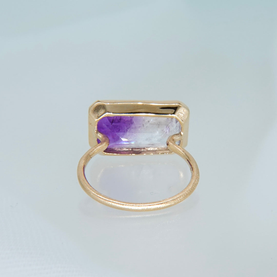 2053_Bicolor Amethyst