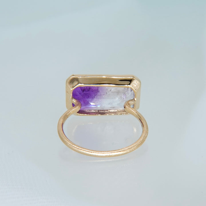 2053_Bicolor Amethyst