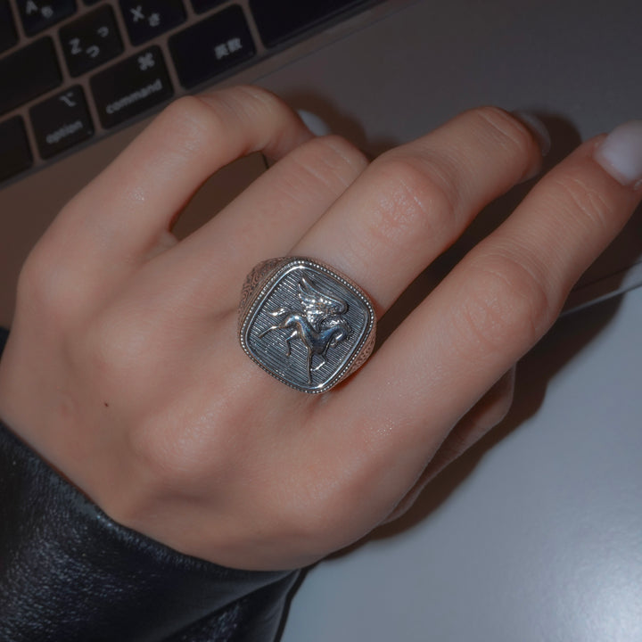 Pegasus Ring in Sterling Silver_20560
