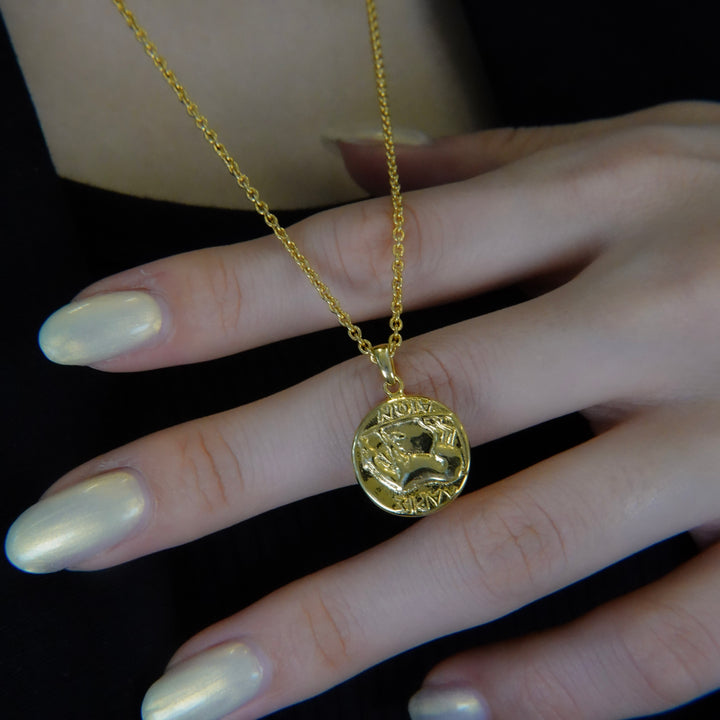 Gold Coin Necklace