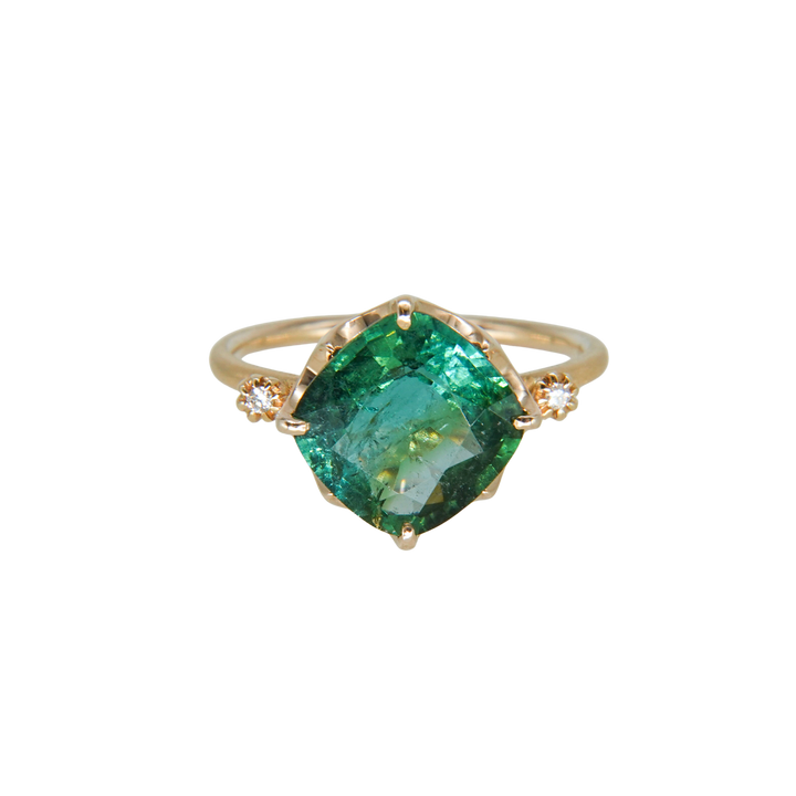 1876_Bicolor Tourmaline