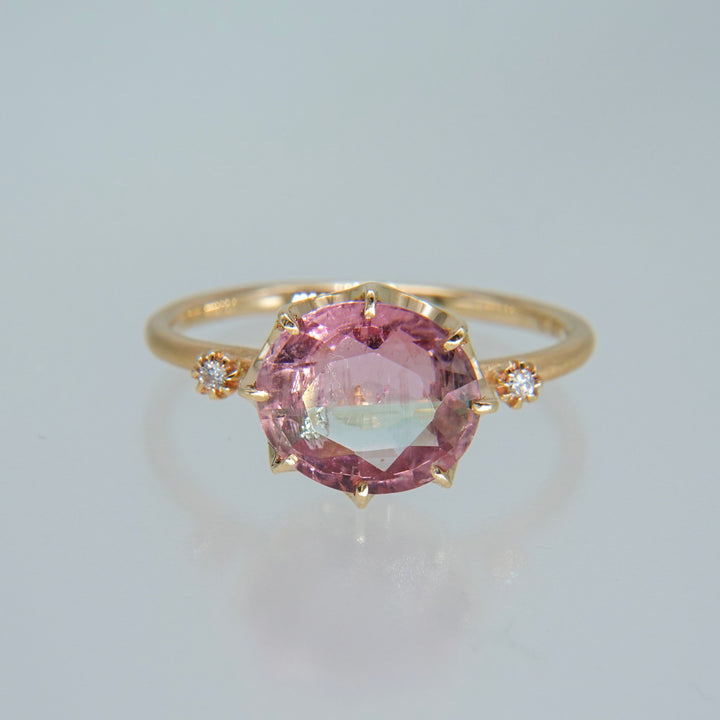 1875_Bicolor Tourmaline