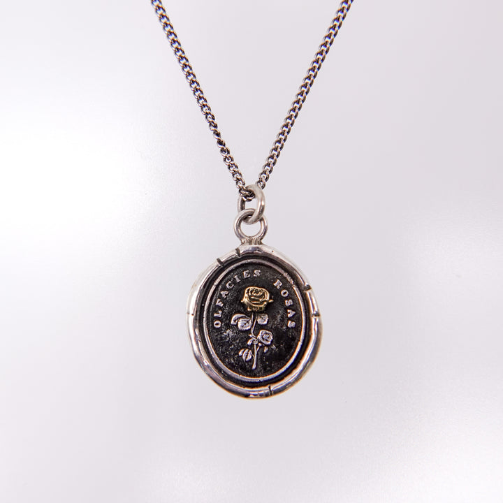 Slow Down 14K Gold on Silver Talisman