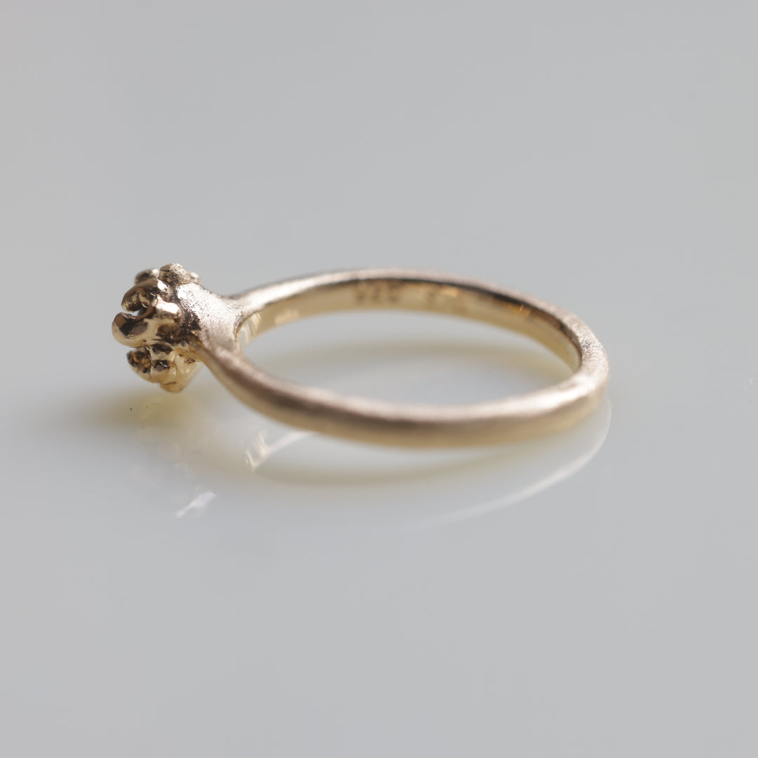 In The Box Series Ⅸ(#5)