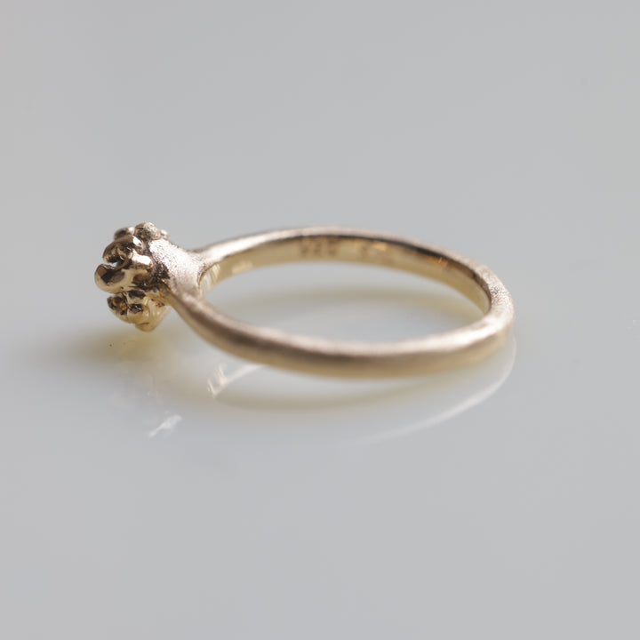 In The Box Series Ⅸ(#5)