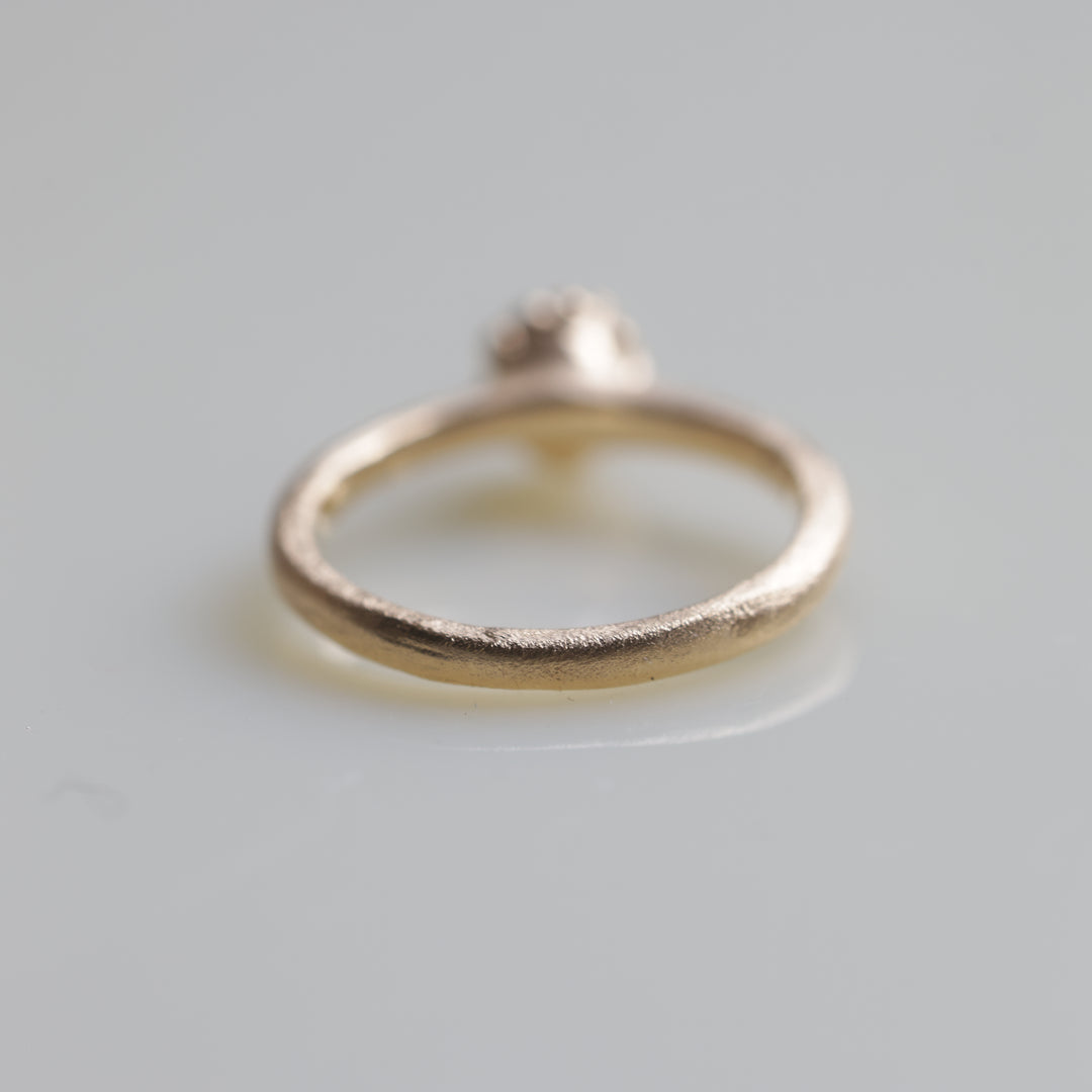 In The Box Series Ⅸ(#5)